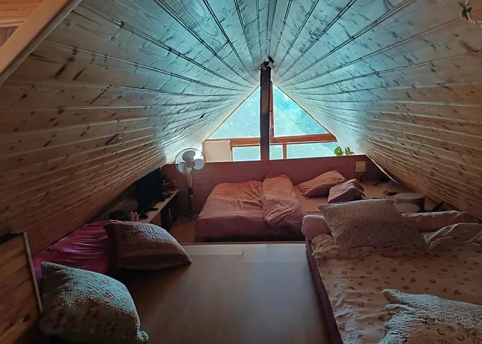 Mas Picou 펜션 La Force (Dordogne)